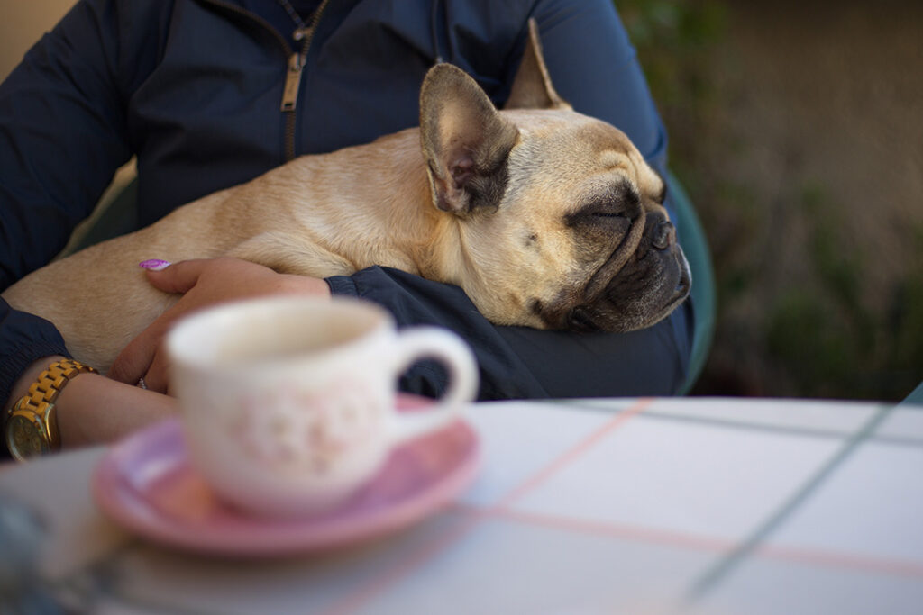 Woman holding a sleeping French Bulldog in her arms